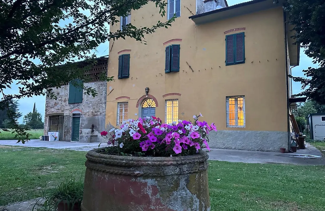 Paradiso Verde-1